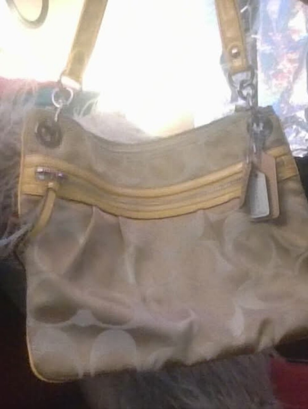 Coach Crossbody